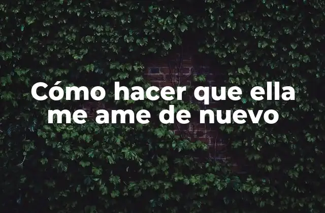 Cómo Hacer que Ella Me Ame de Nuevo