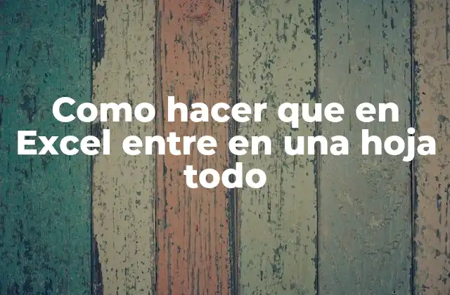 Como Hacer que en Excel entre en una Hoja Todo