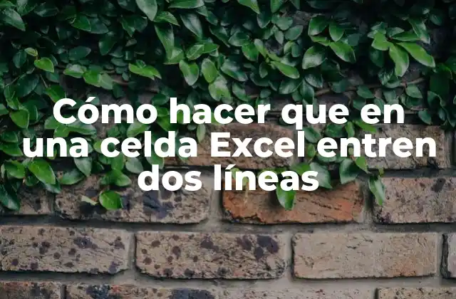 Cómo Hacer que en una Celda Excel Entren Dos Líneas 2 Cómo hacer que en una celda Excel entren dos líneas
