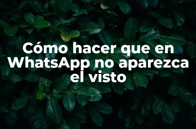 Cómo Hacer que en Whatsapp No Aparezca el Visto