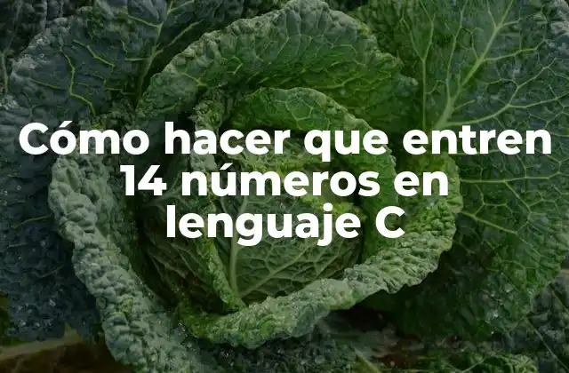 Cómo Hacer que Entren 14 Números en Lenguaje C 2 Cómo hacer que entren 14 números en lenguaje C