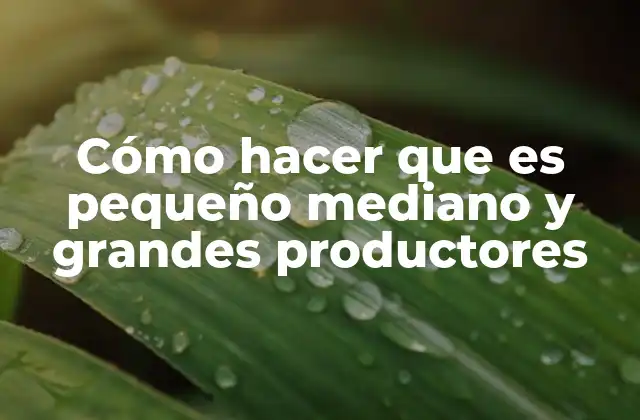 Cómo Hacer que es Pequeño Mediano y Grandes Productores