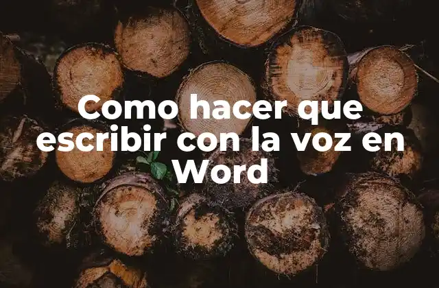 Como Hacer que Escribir con la Voz en Word 2 Como hacer que escribir con la voz en Word
