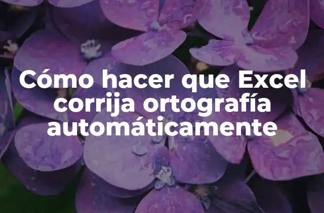 Cómo Hacer que Excel Corrija Ortografía Automáticamente