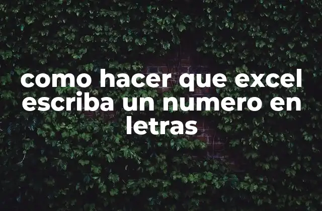 Como Hacer que Excel Escriba un Numero en Letras