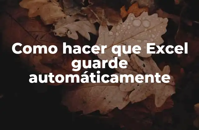 Como Hacer que Excel Guarde Automáticamente