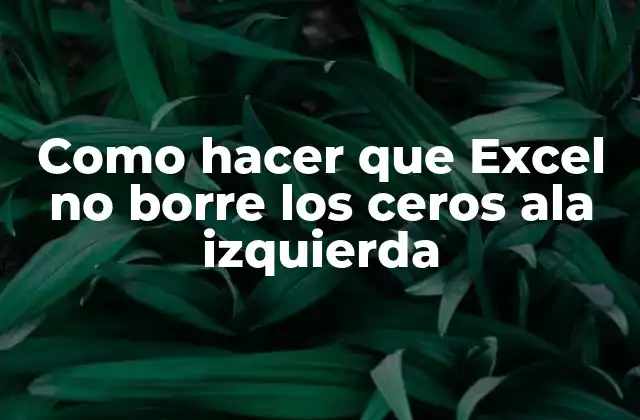 Qué son los ceros a la izquierda y por qué Excel los borra