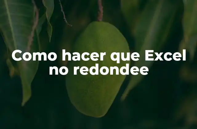 Como Hacer que Excel No Redondee