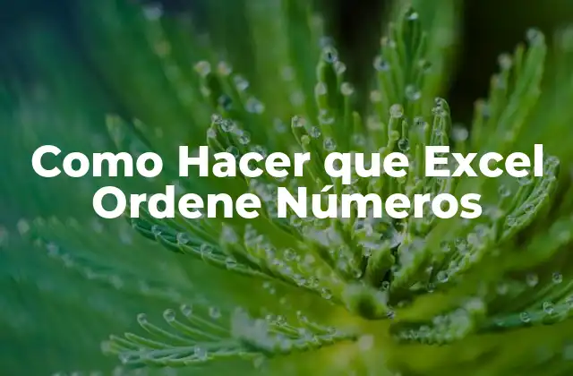 Ordenar Números en Excel