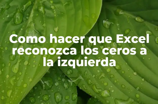 Como Hacer que Excel Reconozca los Ceros a la Izquierda 2 ¿Qué son los ceros a la izquierda y por qué son importantes en Excel?