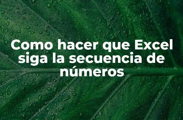 Como Hacer que Excel Siga la Secuencia de Números