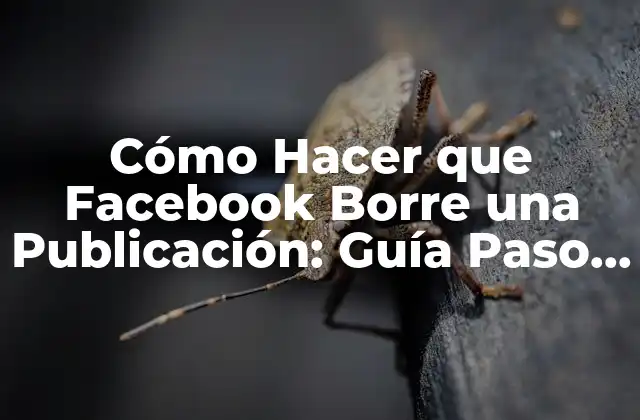 Cómo Hacer que Facebook Borre una Publicación: Guía Paso a Paso