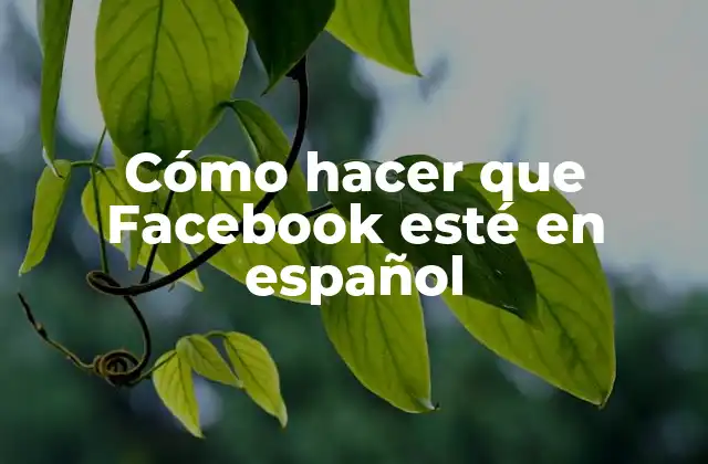Cómo Hacer que Facebook Esté en Español