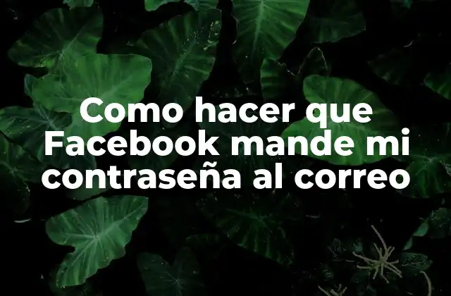 Como Hacer que Facebook Mande Mi Contraseña Al Correo