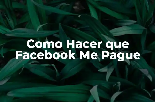 Como Hacer que Facebook Me Pague