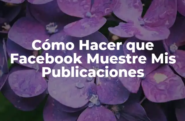 Cómo Hacer que Facebook Muestre Mis Publicaciones