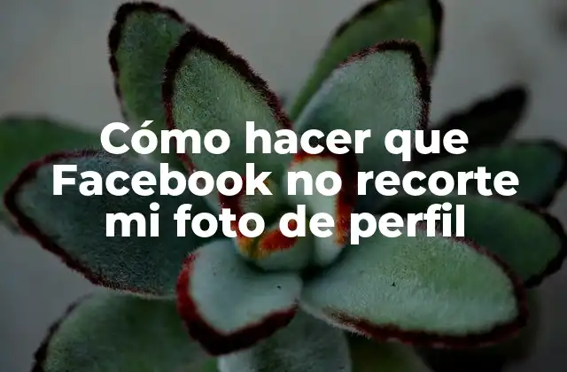 Cómo Hacer que Facebook No Recorte Mi Foto de Perfil