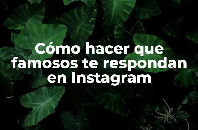 Cómo Hacer que Famosos Te Respondan en Instagram