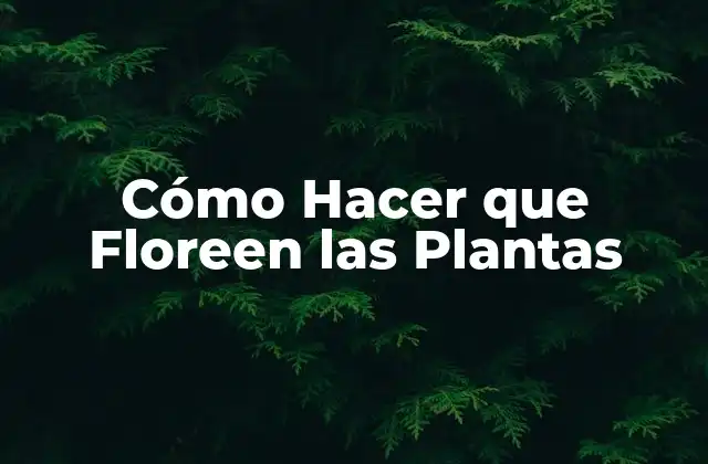 Cómo Hacer que Floreen las Plantas