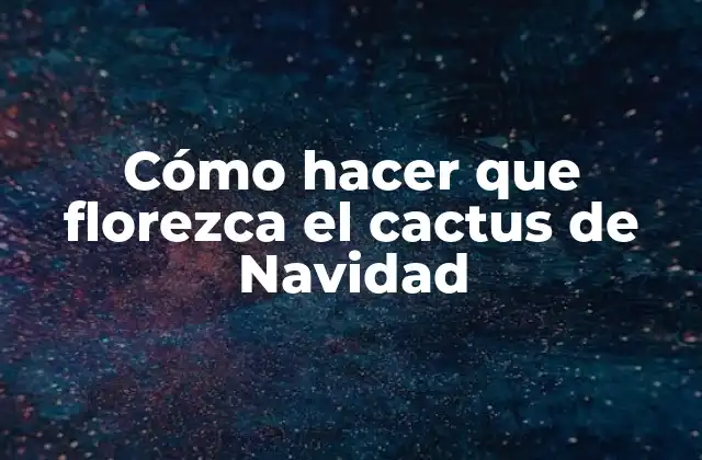 Cómo Hacer que Florezca el Cactus de Navidad 2 Cactus de Navidad