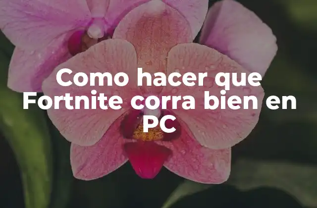 Como Hacer que Fortnite Corra Bien en Pc
