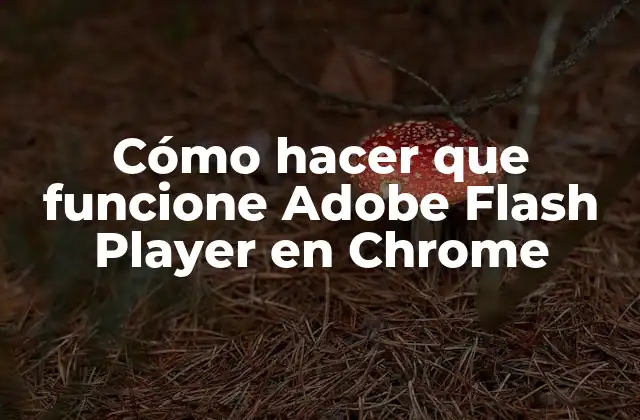 Cómo Hacer que Funcione Adobe Flash Player en Chrome