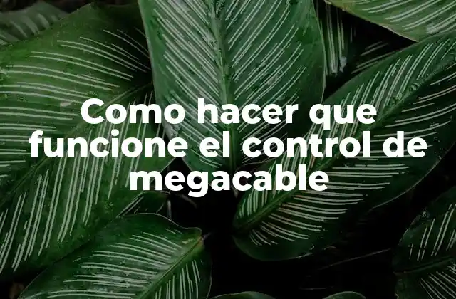 Como Hacer que Funcione el Control de Megacable