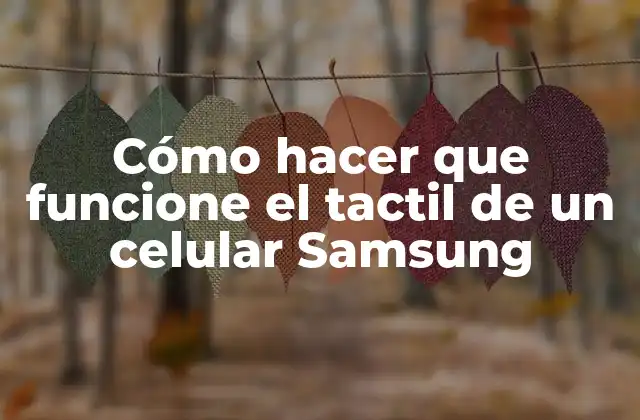 Cómo Hacer que Funcione el Tactil de un Celular Samsung 2 ¿Qué es el tactil y cómo funciona en un celular Samsung?