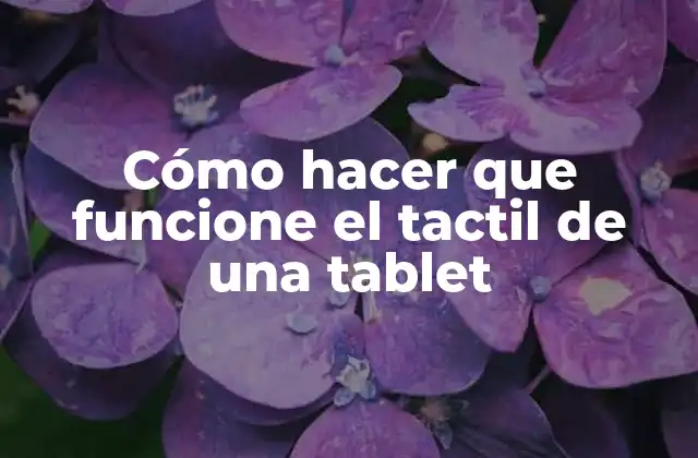 El tactil de una tablet