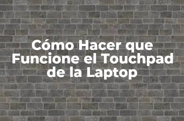 ¿Qué es el Touchpad de la Laptop y Para Qué Sirve?