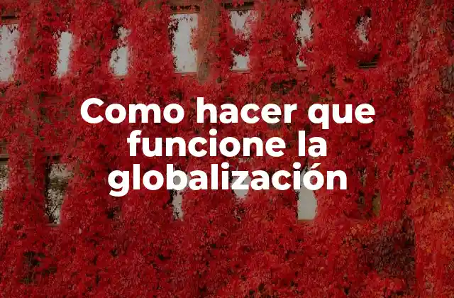 Como Hacer que Funcione la Globalización