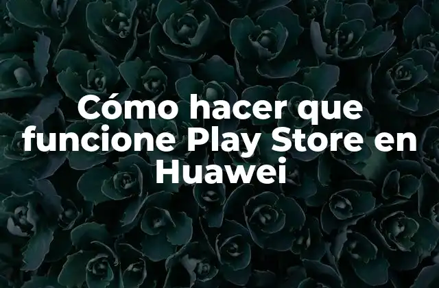 Cómo Hacer que Funcione Play Store en Huawei
