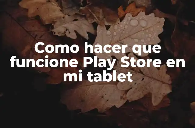 ¿Qué es Play Store y para qué sirve?