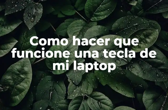 Como Hacer que Funcione una Tecla de Mi Laptop