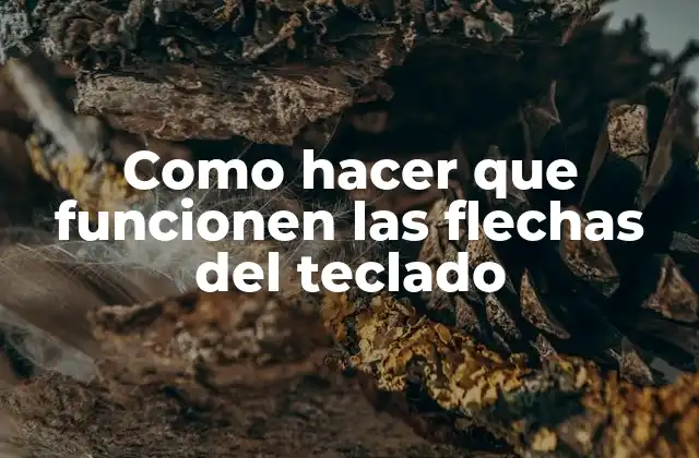 Como Hacer que Funcionen las Flechas Del Teclado