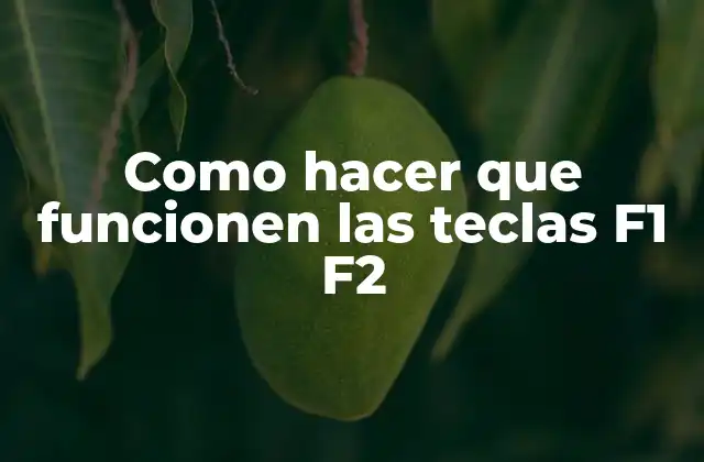 Como Hacer que Funcionen las Teclas F1 F2