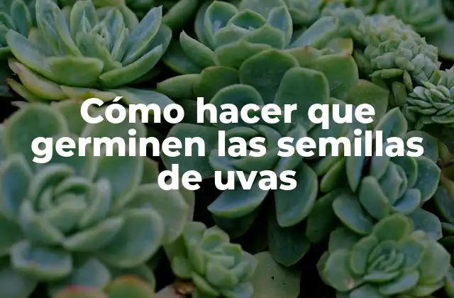 Cómo Hacer que Germinen las Semillas de Uvas