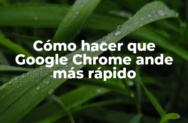 Cómo Hacer que Google Chrome Ande Más Rápido