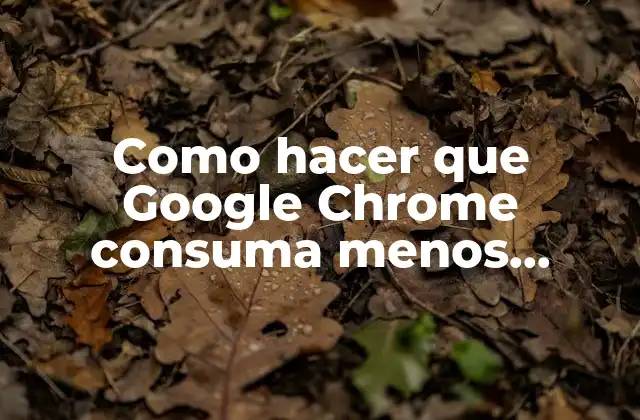 Como Hacer que Google Chrome Consuma Menos Memoria