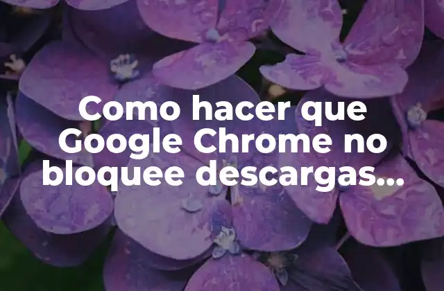 Como Hacer que Google Chrome No Bloquee Descargas 2019