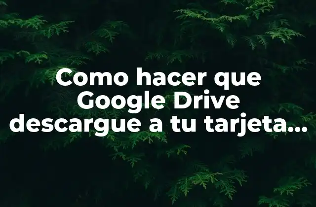 Como Hacer que Google Drive Descargue a Tu Tarjeta Sd