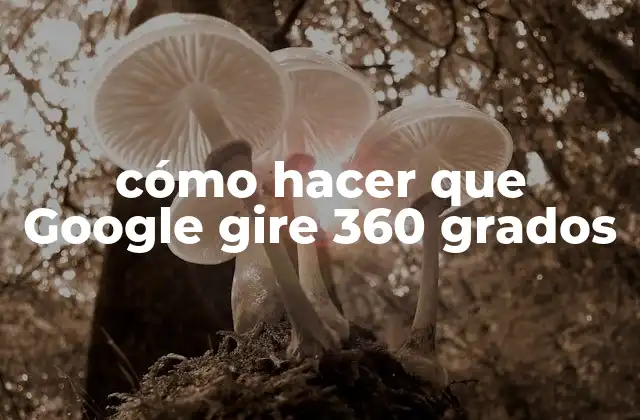 Cómo Hacer que Google Gire 360 Grados 2 ¿Qué es Google Street View y cómo funciona?