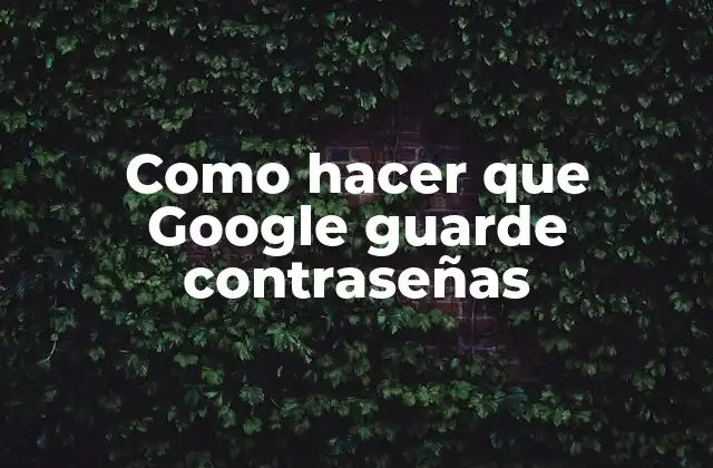 Como Hacer que Google Guarde Contraseñas
