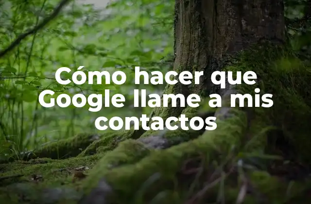 Cómo Hacer que Google Llame a Mis Contactos