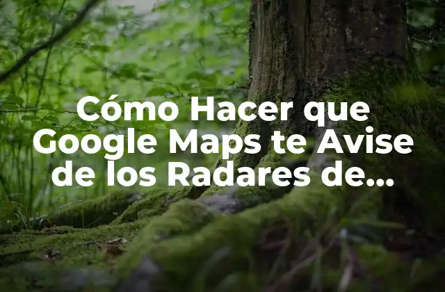 Cómo Hacer que Google Maps Te Avise de los Radares de Tráfico en Tu Ruta