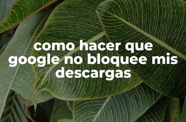 Como Hacer que Google No Bloquee Mis Descargas