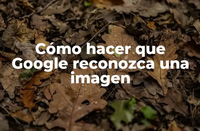 Cómo Hacer que Google Reconozca una Imagen 2 Cómo hacer que Google reconozca una imagen