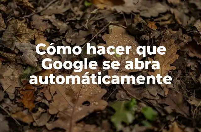 ¿Qué es la apertura automática de Google y para qué sirve?