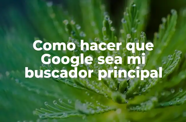 Como Hacer que Google Sea Mi Buscador Principal