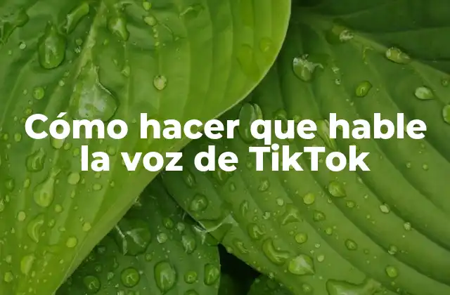 Cómo Hacer que Hable la Voz de Tiktok